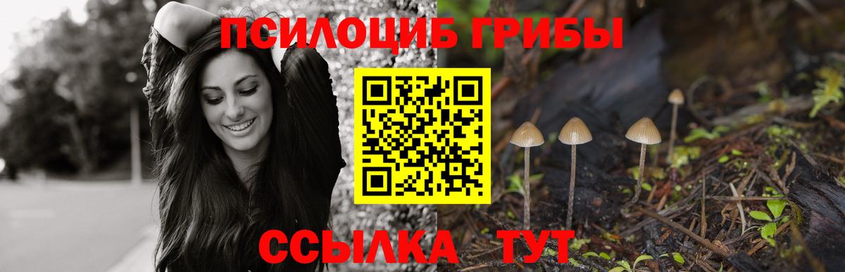 Костомукша  Галлюциногенные грибы Psilocybine cubensis  закладки  Галлюциногенные грибы Magic Shrooms  Вход с VPN 